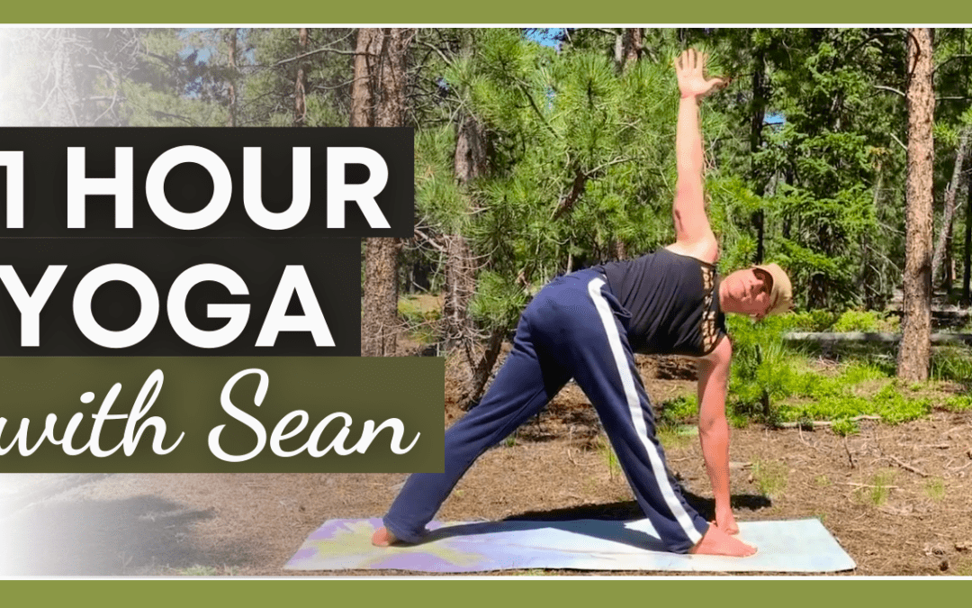 1 hour Intermediate Full Body Yoga – Sean Vigue